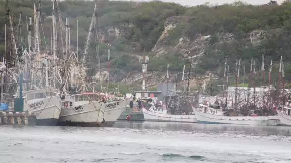 Piden que la actividad sea más fuerte y que necesita el respaldo por el bien de la economía local Piden que la actividad sea más fuerte y que necesita el respaldo por el bien de la economía local