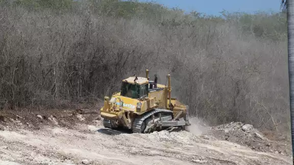 Pese a programas de protección el ecosistema sigue en deterioro