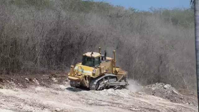 Pese a programas de protección el ecosistema sigue en deterioro