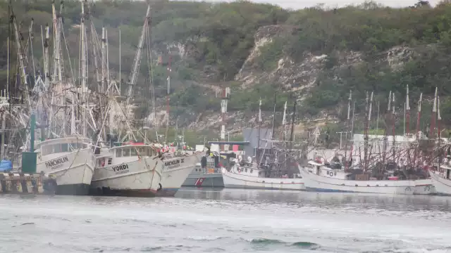 Piden que la actividad sea más fuerte y que necesita el respaldo por el bien de la economía local