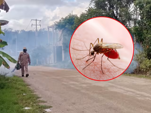 en Sabancuy temen contagios de dengue y piden atención urgente en zonas rurales.