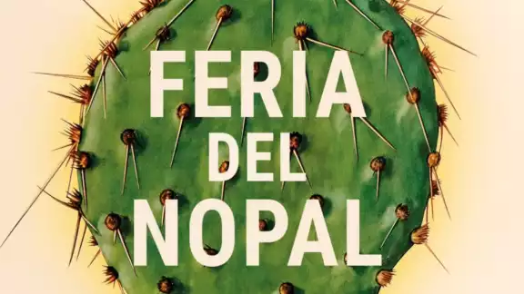 Incribete si eres experto en desespinar nopales Incribete si eres experto en desespinar nopales