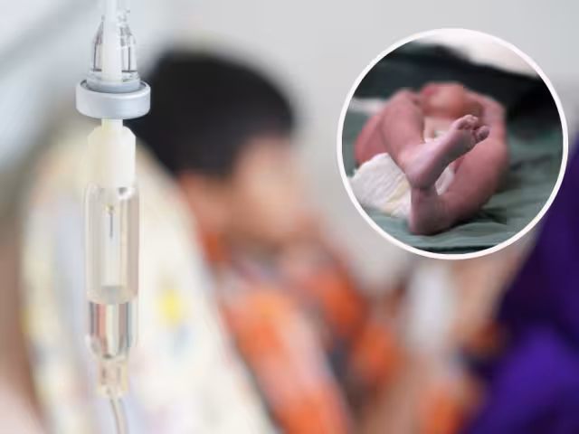 Suspensión del contrato