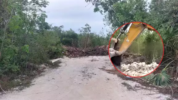 La Dirección de Ecología solicitó a los representantes del proyecto los permisos correspondientes La Dirección de Ecología solicitó a los representantes del proyecto los permisos correspondientes