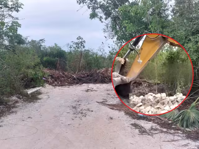 La Dirección de Ecología solicitó a los representantes del proyecto los permisos correspondientes