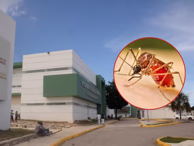 Las localidades Lázaro Cárdenas y Puerto Morelos se mantienen en el semáforo “amarillo”, por precaución