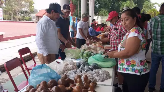 La semilla nativa es una semilla tratada espiritualmente y es una actividad que se ha ido perdiendo La semilla nativa es una semilla tratada espiritualmente y es una actividad que se ha ido perdiendo