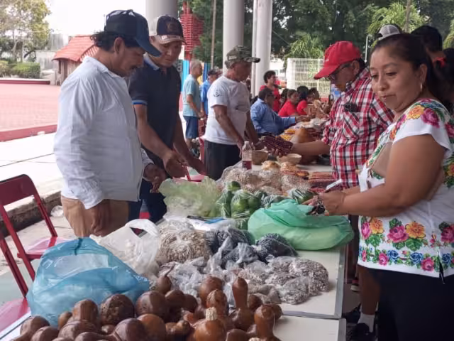 La semilla nativa es una semilla tratada espiritualmente y es una actividad que se ha ido perdiendo