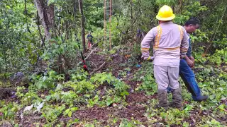 CFE inicia trabajos de mantenimiento tras bloqueos  por habitantes de Noh-Bec