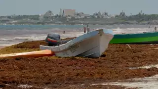 “Es la peor temporada": Ocupación hotelera de Cancún y Riviera Maya disminuye por culpa del sargazo