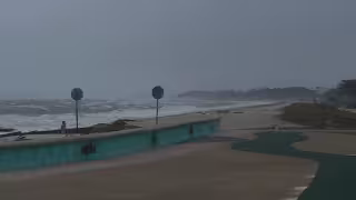 Frente Frío 14 causa estragos en Ciudad del Carmen: Árboles y postes caídos