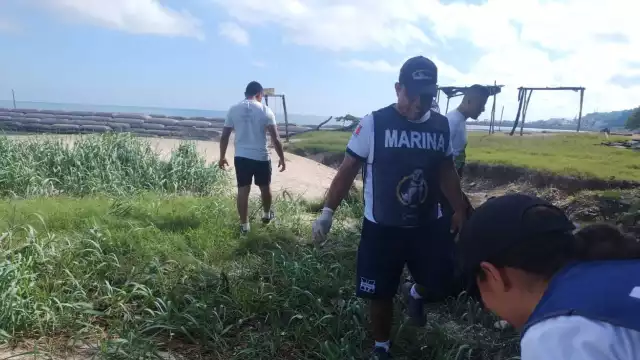 Marina limpia Playa Bonita y recolecta 236 kg de desechos sólidos y PET