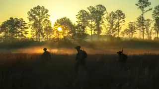 166 países de la ONU votaron para discutir uso de robots asesinos 