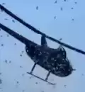 5 mil dólares cayeron del cielo desde un helicóptero por un hermoso motivo