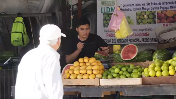 La gestión de Claudia Sheinbaum evitó daños económicos significativos en Campeche La gestión de Claudia Sheinbaum evitó daños económicos significativos en Campeche