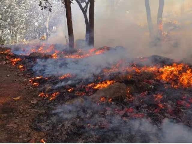 Quemas agrícolas Yucatán