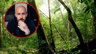 Proyecto vinculado a Diego Dreyfus desmontaría 21 hectáreas y aplicaría técnicas para ahuyentar fauna en la selva de Quintana Roo