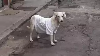 Vuelve la "heladez" a Yucatán: Anticipan descenso de temperaturas por la llegada de Frente Frío