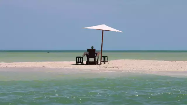 La Profepa invitó a denunciar a través de correo electrónico o bien presentar el reporte llamando al 800-profepa