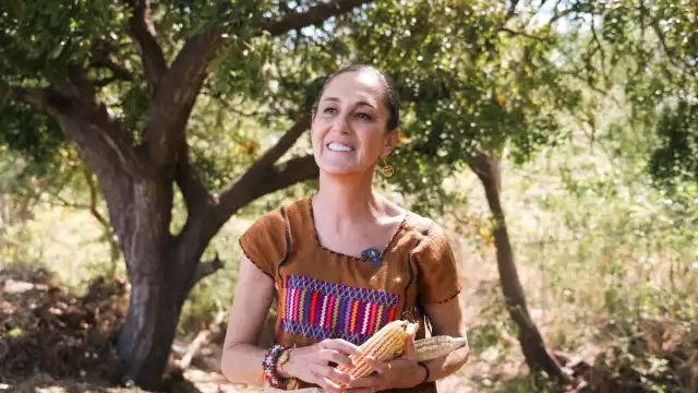 Claudia Sheinbaum presenta reforma constitucional en protección al maíz en México.