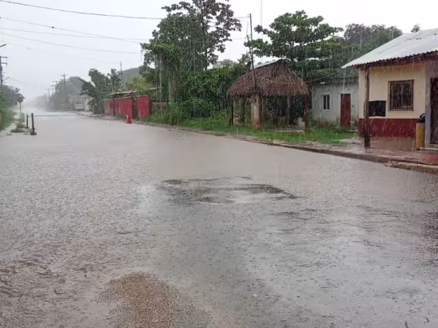El mal clima causó algunas fallas en el servicio eléctrico