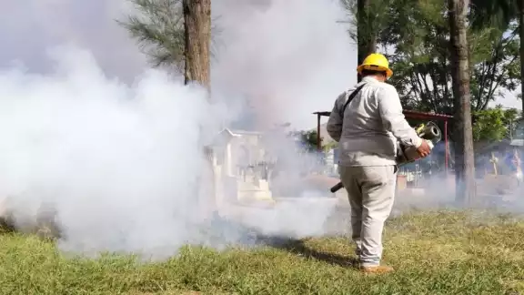 Guerrero es la entidad con mayor número de casos de dengue en el país Guerrero es la entidad con mayor número de casos de dengue en el país