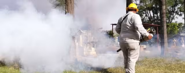 Guerrero es la entidad con mayor número de casos de dengue en el país