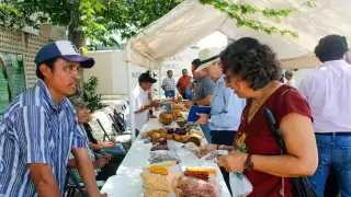 Ofrecen semillas nativas en el primer mercado de productos de la milpa maya en Mérida 