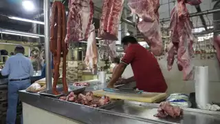 Gusano barrenador no afecta  el consumo de res en Campeche