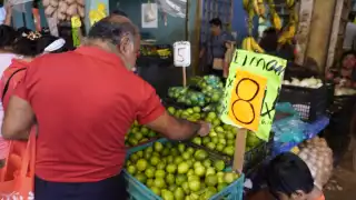 Reduce el precio del limón en Campeche