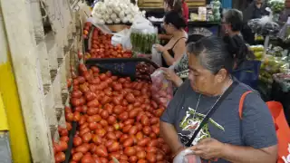 Sequía y falta de regulación elevan el precio del tomate en Campeche
