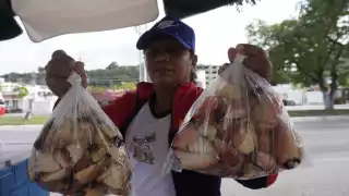  Pescadores de Campeche le apuestan a las manitas de cangrejo; reportan buena venta   