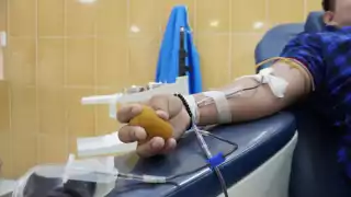 Alerta en Campeche: redes de tráfico lucran con donación de sangre