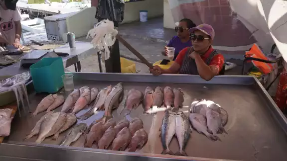 Los alimentos marinos provienen de los mares locales Los alimentos marinos provienen de los mares locales