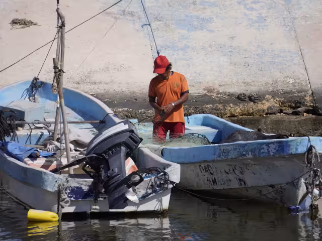 Reforzarán trabajos de inspección y vigilancia en la costa.