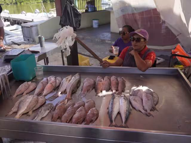 Los alimentos marinos provienen de los mares locales