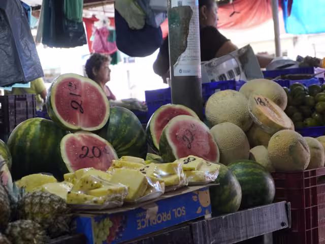 Actualmente el precio está entre los cinco a seis pesos por kilogramo.