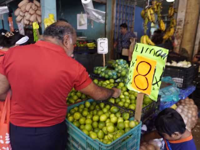 Locatarios del mercado dan mérito a programas federales