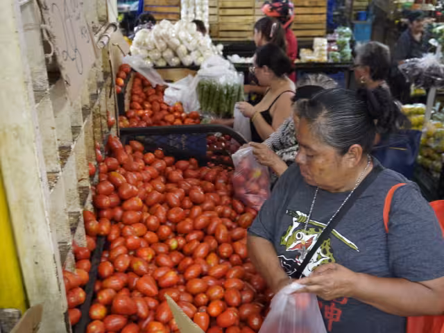Aumenta el precio del jitomate pese a estabilidad en centrales de abasto