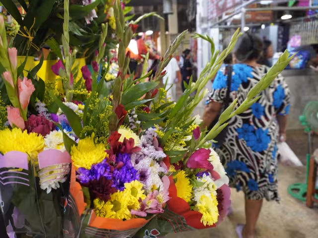 El 10 de mayo incrementan significativamente las ventas de flores en mercados de Campeche y Champotón, siendo las rosas, girasoles, claveles y gerberas las más demandadas.