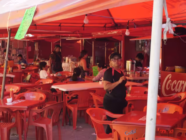 Los puestos en el parque de Guadalupe, cuentan con permiso por 12 días