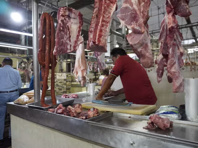 Confirman estabilidad en venta de carnes pese al gusano barrenador en Campeche