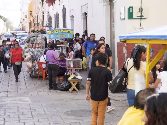 Las autoridades municipales aceptan que urgen políticas para regularlos.