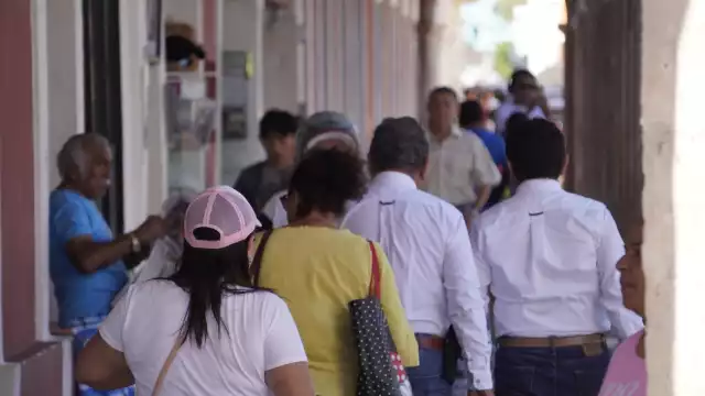 Se consolidará una base de datos para obtener información segura.