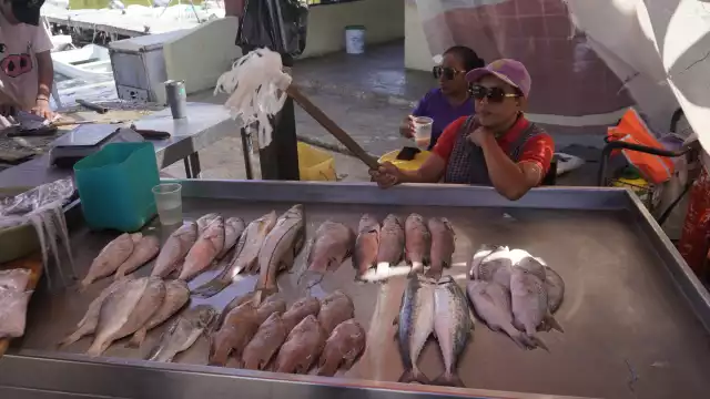 Los alimentos marinos provienen de los mares locales