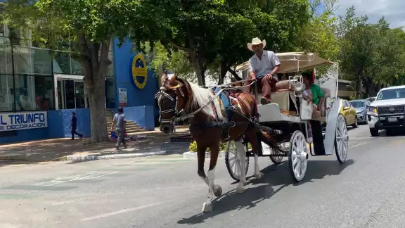 Los caleseros continúan operando en horarios con altas temperaturas