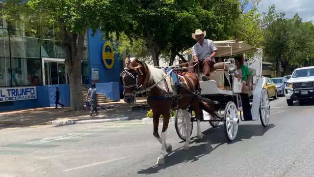 Los caleseros continúan operando en horarios con altas temperaturas