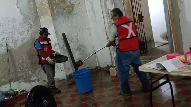 Una enorme serpiente asustó a las empleadas de una óptica, quienes llamaron al 911 para pedir ayuda