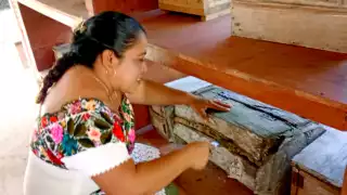 Colectivo “Muuch Kaab” celebra 20 años de elaborar productos naturales con miel melipona