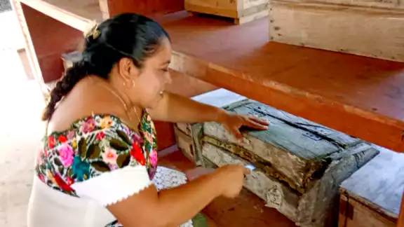El colectivo “Muuch Kaab” comenzó a trabajar, en el 2006, con la abeja melipona; actualmente han diversificado su fabricación a 19 productos El colectivo “Muuch Kaab” comenzó a trabajar, en el 2006, con la abeja melipona; actualmente han diversificado su fabricación a 19 productos